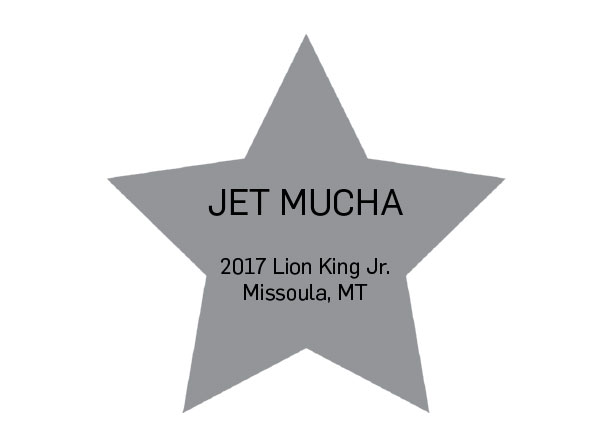 Star Graphic for Jet Mucha